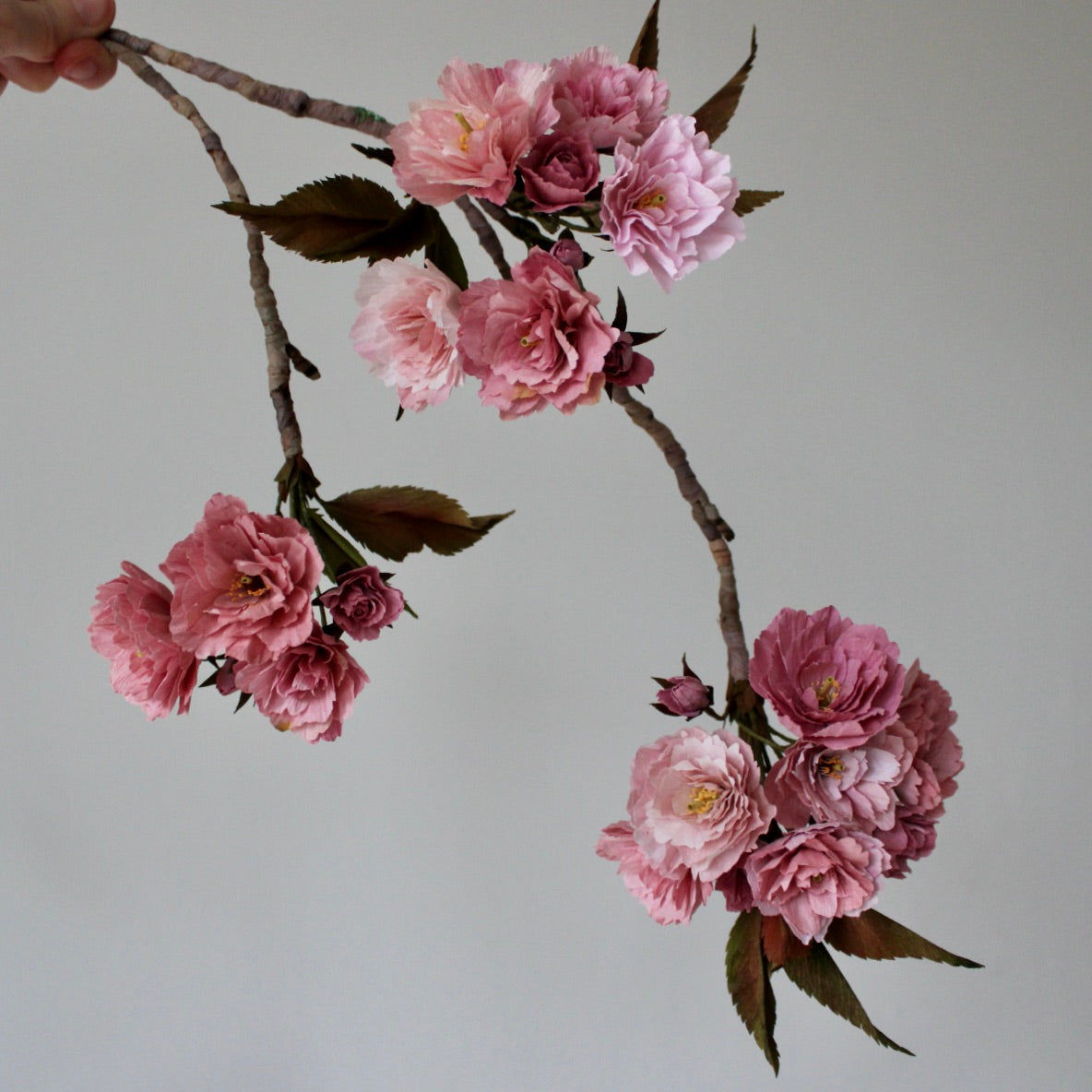 Paper Kanzan Cherry Blossom Tutorial