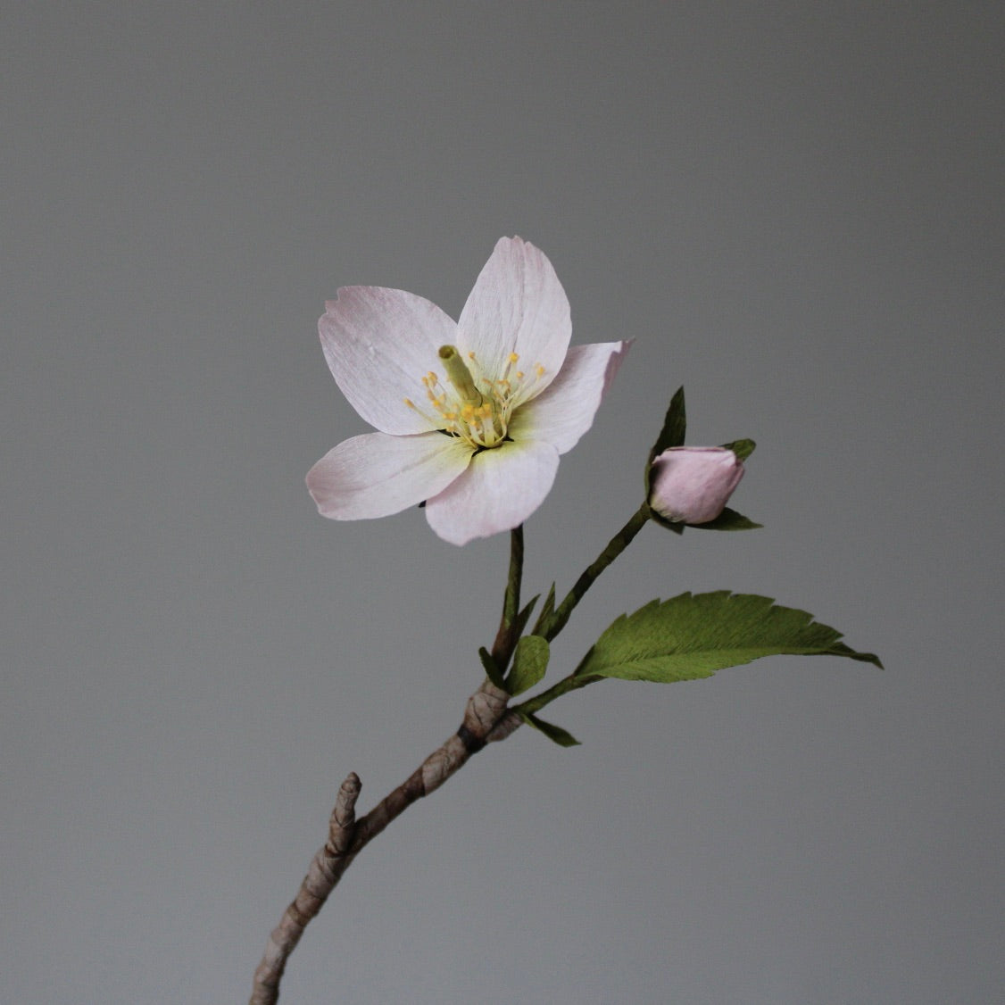 Kanzan Kirsebærblomst opskrift - let øvet