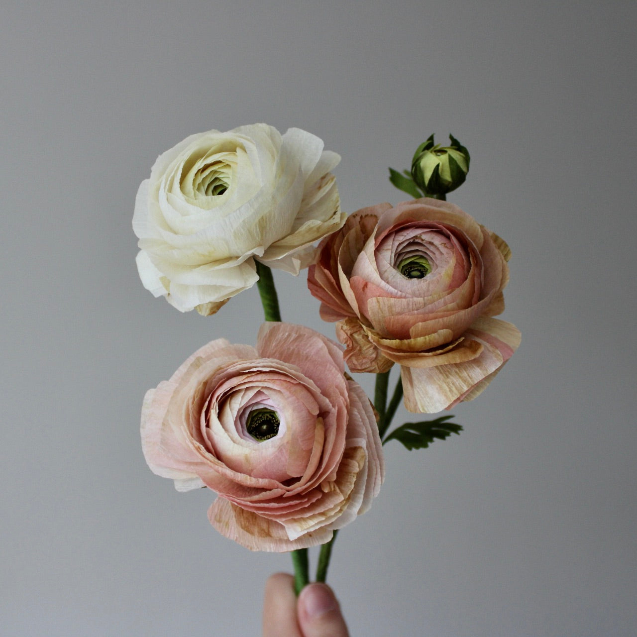 Paper Ranunculus Tutorial